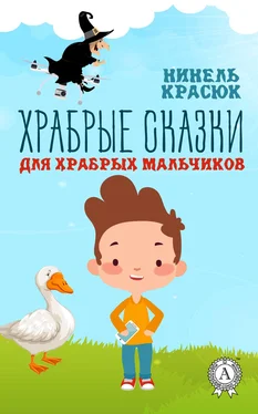 Нинель Красюк Храбрые сказки для храбрых мальчиков обложка книги