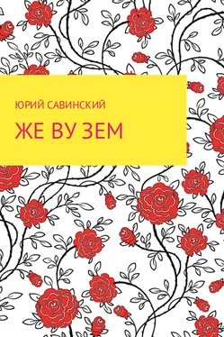 Юрий Савинский Же Ву Зем обложка книги