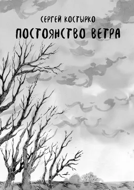 Сергей Костырко Постоянство ветра обложка книги