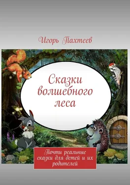 Игорь Пахтеев Сказки волшебного леса. Почти реальные сказки для детей и их родителей обложка книги