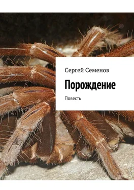 Сергей Семенов Порождение. Повесть обложка книги