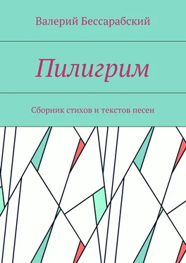 Валерий Бессарабский Пилигрим. Сборник стихов и текстов песен обложка книги