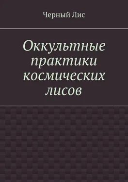 Черный Лис Оккультные практики космических лисов обложка книги