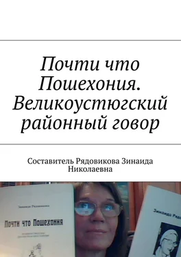 Зинаида Рядовикова Почти что Пошехония. Великоустюгский районный говор обложка книги