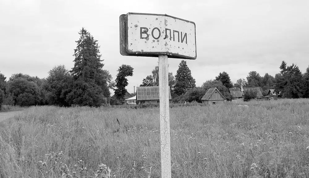 Деревня Волпи Въезд в деревню со стороны Морозово фотография Дениса Базуева - фото 11