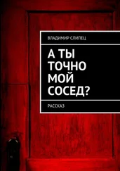 Владимир Слипец - А ты точно мой сосед? Рассказ