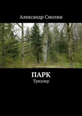 Александр Смолин Парк. Триллер обложка книги