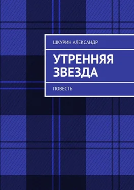 Александр Шкурин Утренняя звезда. Повесть обложка книги