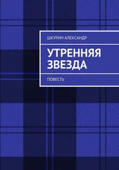 Александр Шкурин - Утренняя звезда. Повесть