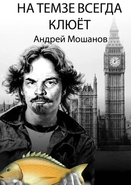 Андрей Мошанов На Темзе всегда клюёт обложка книги