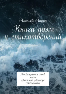 Алексей Ларин Книга поэм и стихотворений обложка книги