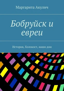 Маргарита Акулич Бобруйск и евреи. История, Холокост, наши дни обложка книги