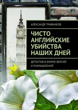 Александр Травников Чисто английские убийства наших дней. Детектив в форме версий и размышлений обложка книги