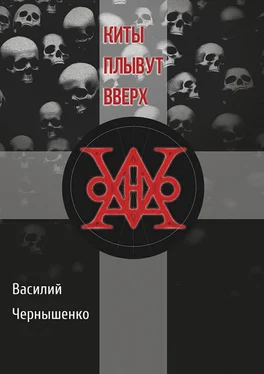 Василий Чернышенко Киты плывут вверх обложка книги