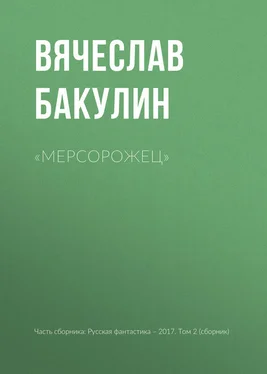 Вячеслав Бакулин «Мерсорожец» обложка книги