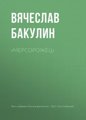 Вячеслав Бакулин - «Мерсорожец»