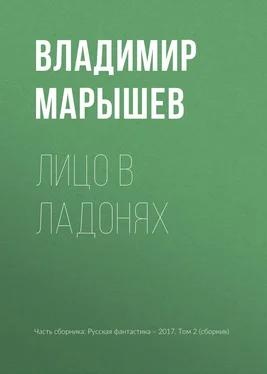 Владимир Марышев Лицо в ладонях обложка книги