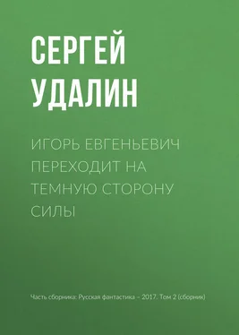 Сергей Удалин Игорь Евгеньевич переходит на темную сторону силы обложка книги