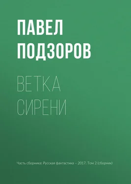 Павел Подзоров Ветка сирени обложка книги