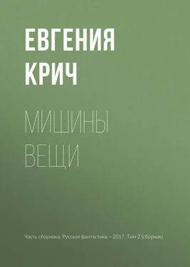 Евгения Крич Мишины вещи обложка книги