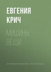 Евгения Крич - Мишины вещи