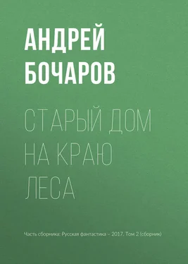 Андрей Бочаров Старый дом на краю леса обложка книги