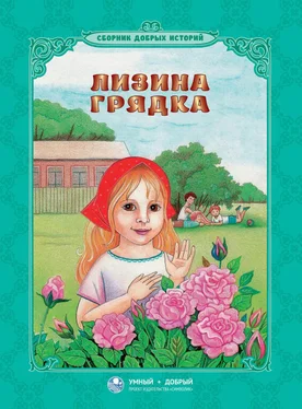 Станислав Брейэр Лизина грядка (сборник) обложка книги