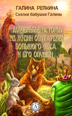 Галина Репкина Маленькие истории из жизни обитателей Большого Леса и его Опушки обложка книги