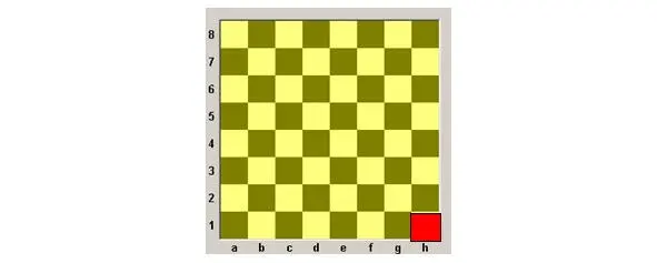 Диаграмма 1 Шахматные поля образуют шахматные линии Линии проходящие слева - фото 1