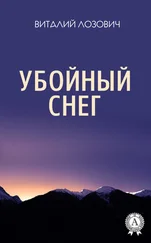 Виталий Лозович - Убойный снег