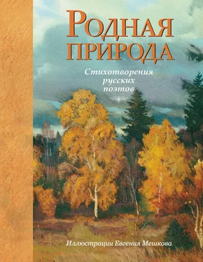 Николай Некрасов Родная природа: стихотворения русских поэтов обложка книги