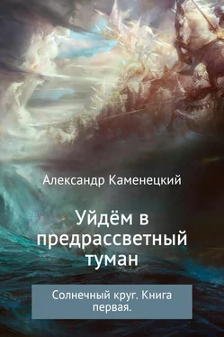 Александр Каменецкий Уйдём в предрассветный туман. Солнечный круг. Книга 1 обложка книги