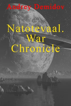 Андрей Демидов Natotevaal. War Chronicle обложка книги