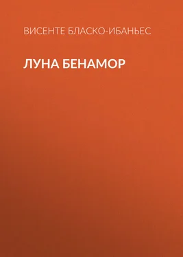 Висенте Бласко-Ибаньес Луна Бенамор обложка книги