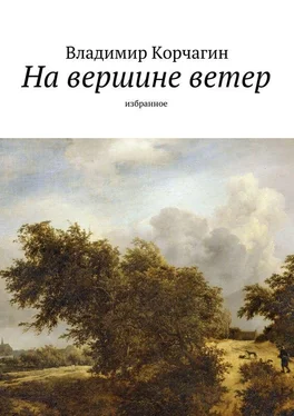 Владимир Корчагин На вершине ветер. Избранное обложка книги