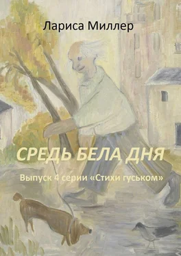 Лариса Миллер Средь бела дня. Выпуск 4 серии «Стихи гуськом» обложка книги