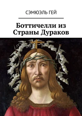 Сэмюэль Гей Боттичелли из Страны Дураков обложка книги