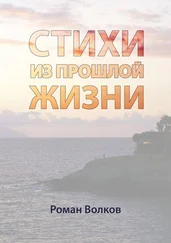 Роман Волков - Стихи. Из прошлой жизни