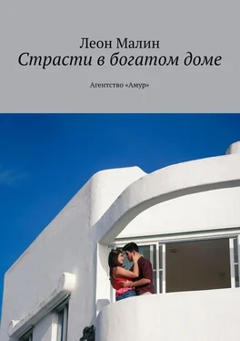 Леон Малин Страсти в богатом доме. Агентство «Амур» обложка книги