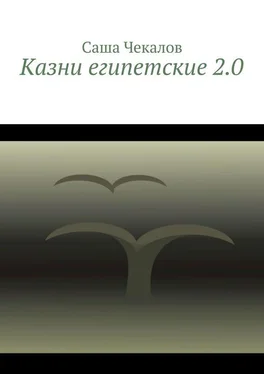 Саша Чекалов Казни египетские 2.0 обложка книги