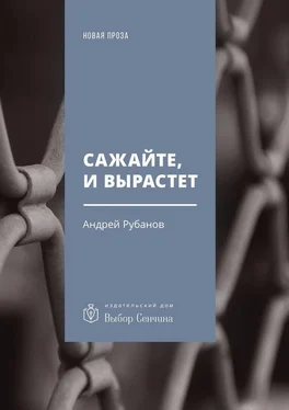 Андрей Рубанов Сажайте, и вырастет. Роман обложка книги