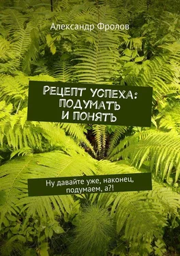 Александр Фролов Рецепт успеха: подумать и понять. Ну давайте уже, наконец, подумаем, а?! обложка книги