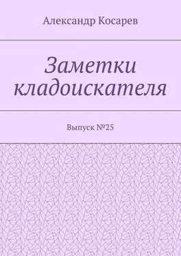 Александр Косарев Заметки кладоискателя. Выпуск №25 обложка книги