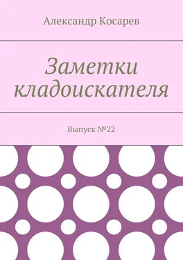 Александр Косарев Заметки кладоискателя. Выпуск №22 обложка книги