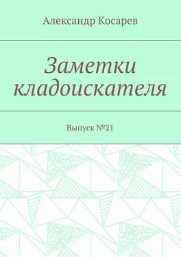 Александр Косарев Заметки кладоискателя. Выпуск №21 обложка книги