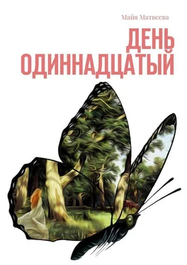Майя Матвеева День одиннадцатый обложка книги