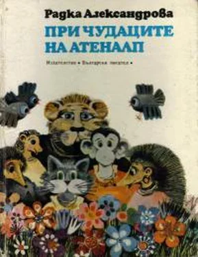 Радка Александрова При чудаците на Атеналп обложка книги