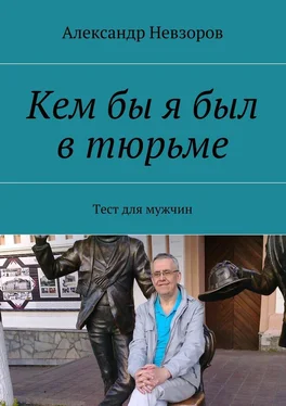 Александр Невзоров Кем бы я был в тюрьме. Тест для мужчин обложка книги