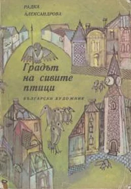 Радка Александрова Градът на сивите птици обложка книги