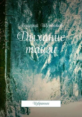 Валерий Щербаков Дыхание тайги. Избранное обложка книги